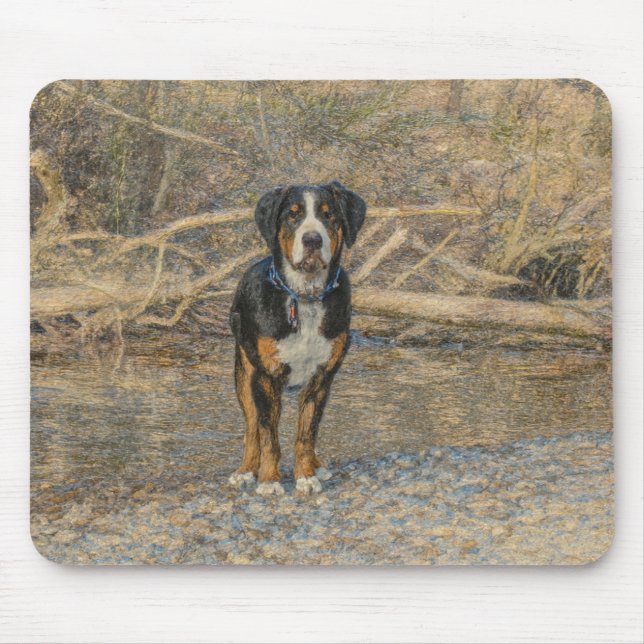 Mousepad (Front)