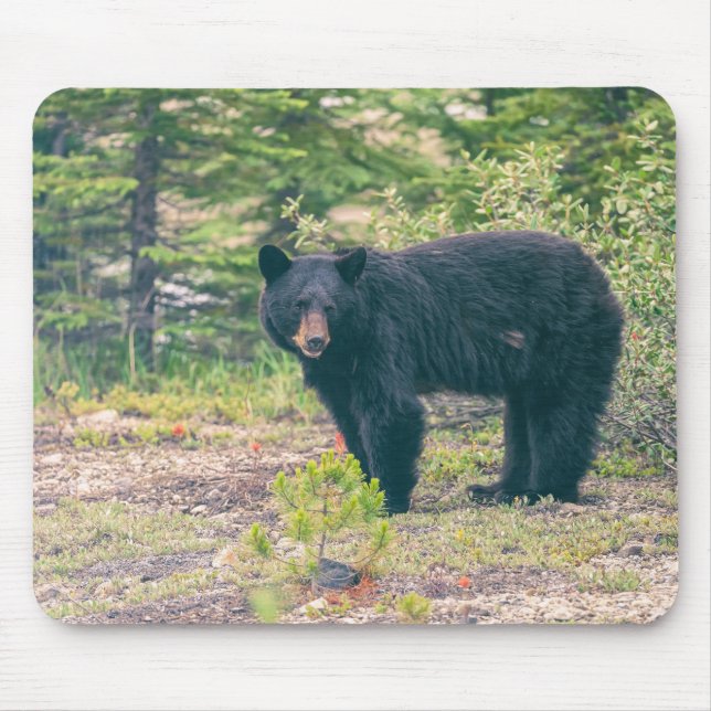 Mousepad (Front)