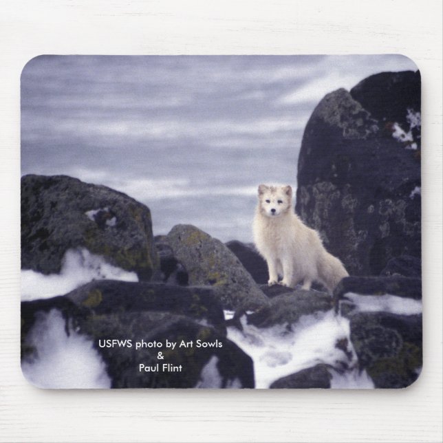 Mousepad / Arctic Fox (Front)