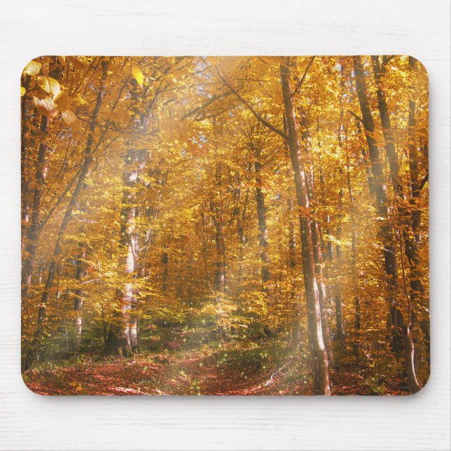 Mousepad Autumn forest Gold Rays (Front)