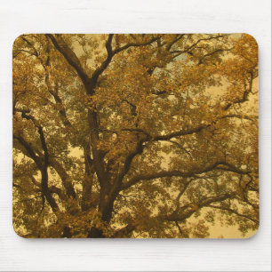Mousepad Autumn Massive Tree Yellow