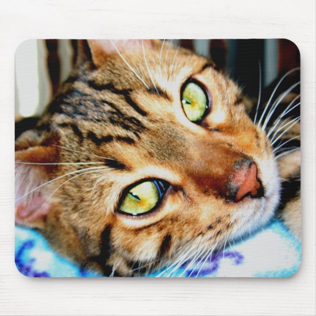 Mousepad Bengal Cat (Front)