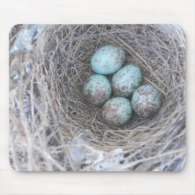 Mousepad Bird's Nest with Eggs Photography (Front)