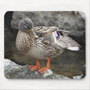 Mousepad cute brown duck between grey rocks