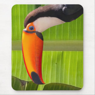 Mousepad design Tucano
