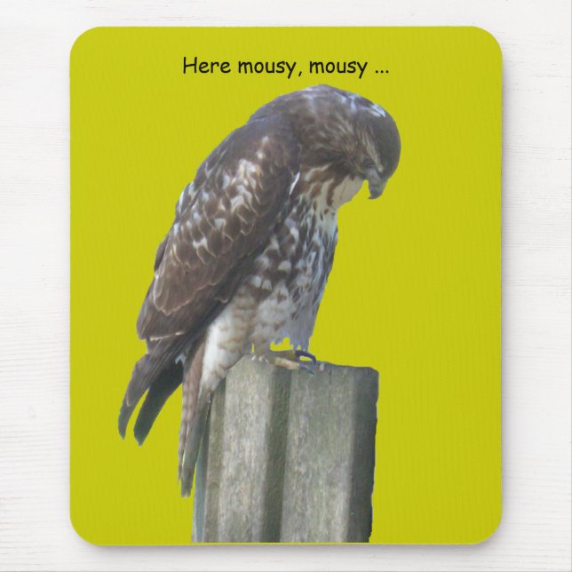 Mousepad - Falcon (Front)