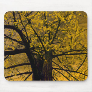 Mousepad Fall Yellow Tree Painting