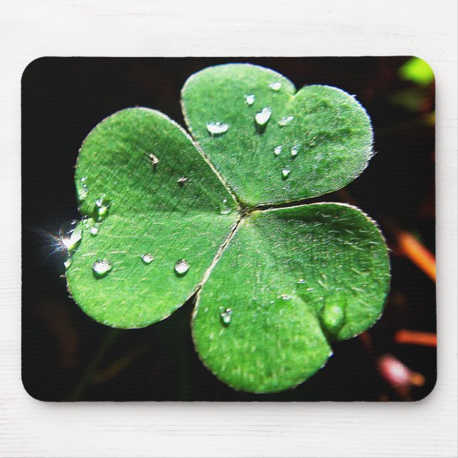 Mousepad grünes Kleeblatt mit Wassertropfen (Front)