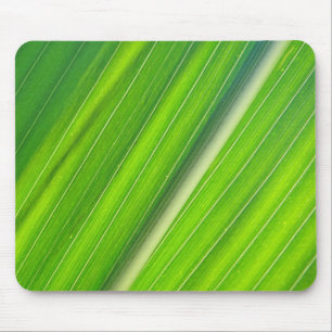 Mousepad hellgrünes Maisblattdesign
