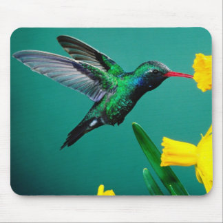 Mousepad-Hummingbird Mouse Pad