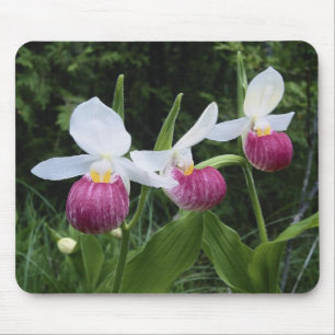 Mousepad-Lady Slipper Orchids Mouse Pad