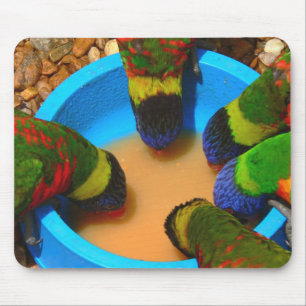 Mousepad, Lorikeets Mouse Pad