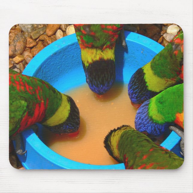 Mousepad, Lorikeets Mouse Pad (Front)