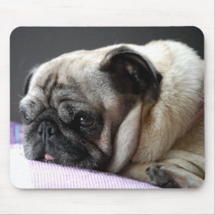 Mousepad Mops Carlin Pug