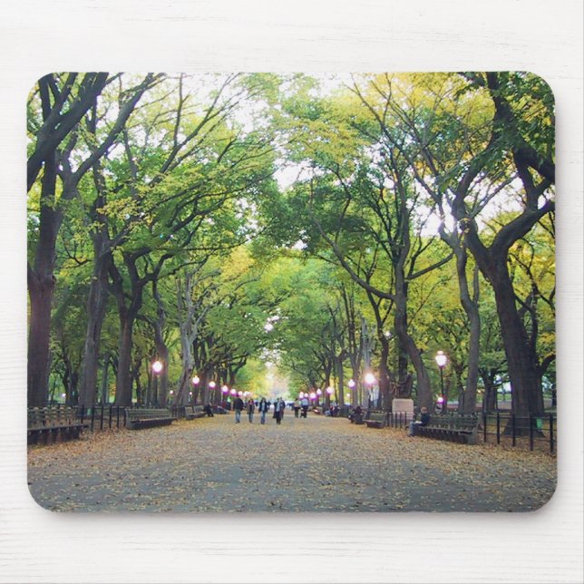 Mousepad - NY Central Park (Front)