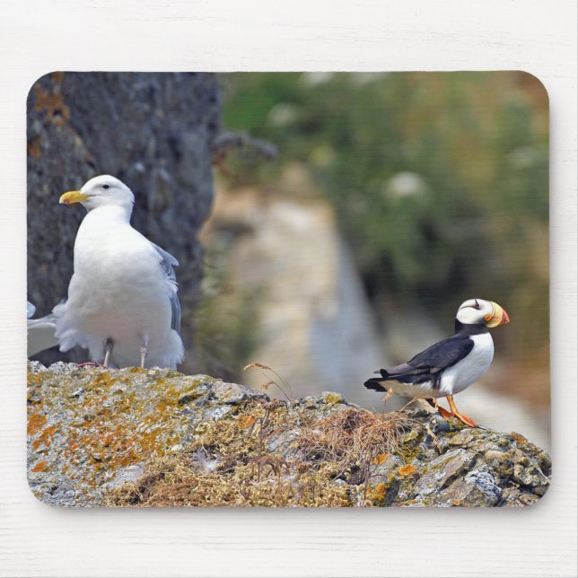Mousepad of puffin & seagull (Front)