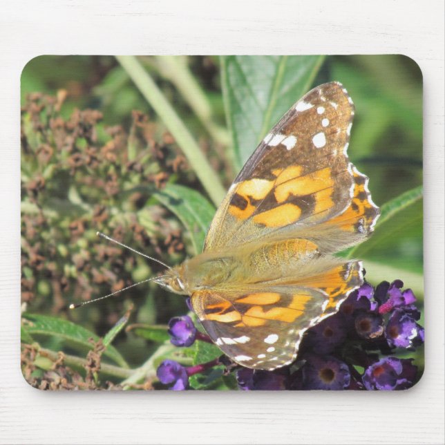 Mousepad - Orange Butterfly on Purple Flower (Front)