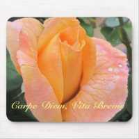 Mousepad--Orange Rose With Raindrops