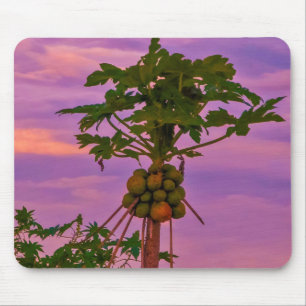 Mousepad Papaya Tree And Brazilian Sunset