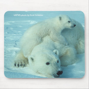 Mousepad / Polar Bear & Cub