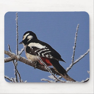 Mousepad pretty spotted woodpecker