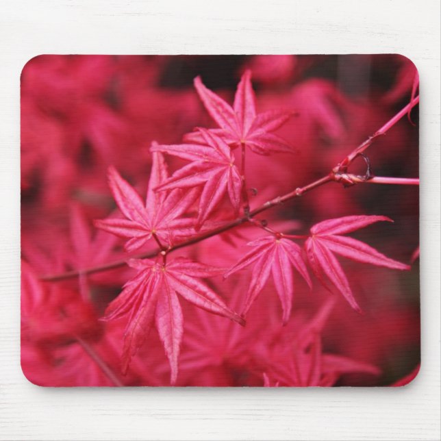 Mousepad-Red Maple Tree Mouse Pad (Front)