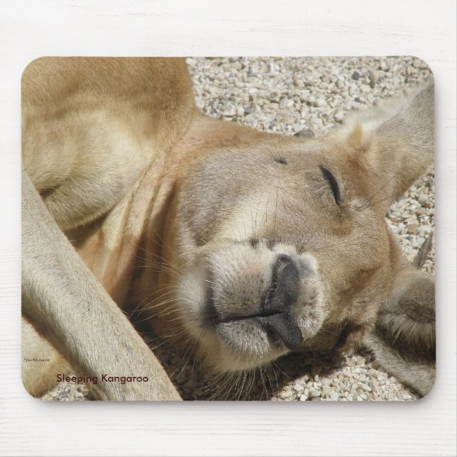 Mousepad Sleeping Kangaroo Photo Australia (Front)