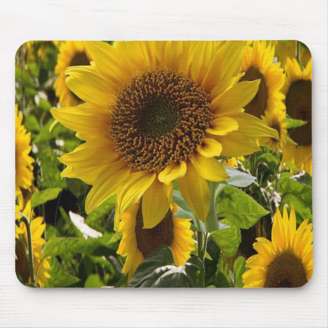Mousepad Sunflower (Front)