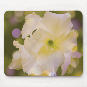 Mousepad Sword Lily Green Bokeh