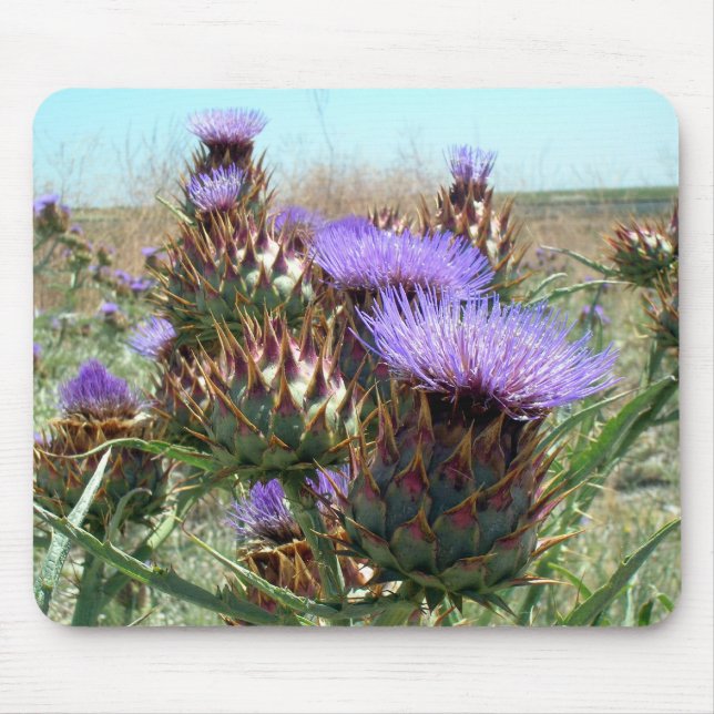 Mousepad - Thistle (Front)