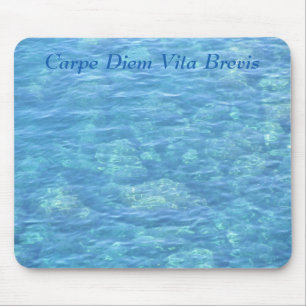 Mousepad--Tide Pool Mouse Pad