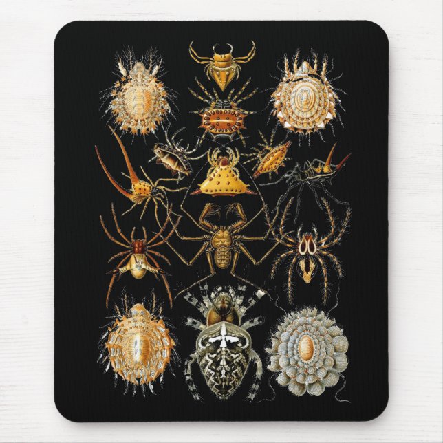 Mousepad Vintage Artist Ernst Haeckel Arachnida (Front)