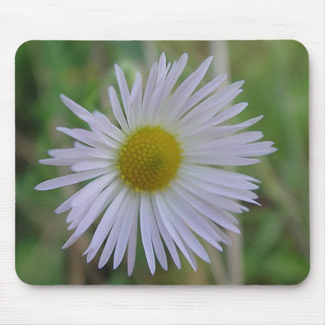 Mousepad weisse Wildblüte (Front)