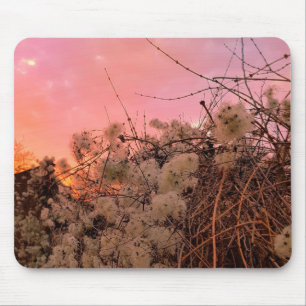 Mousepad Winter Sunset And Clematis Vines