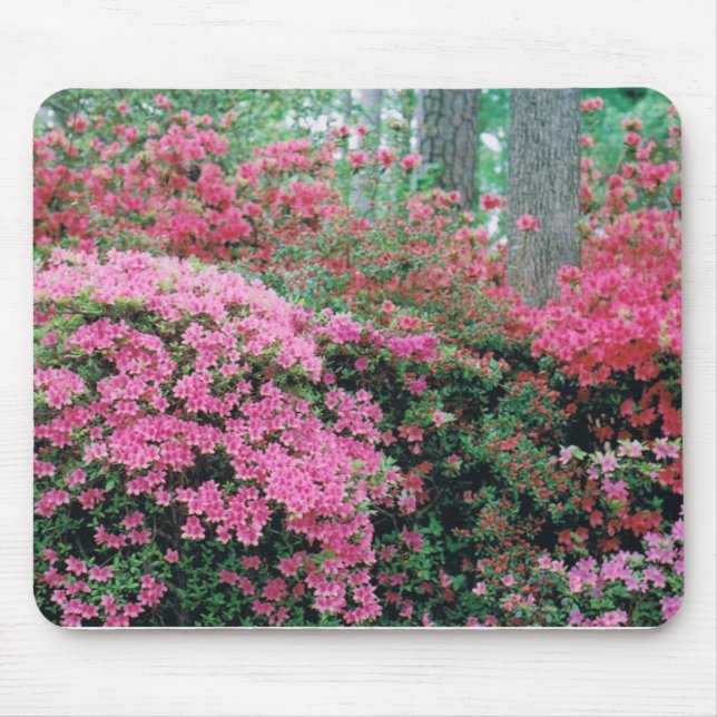 Mousepad with a Spray of Pink Azaleas (Front)