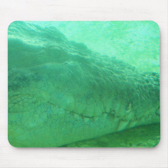 mousepad with green gator face (Front)