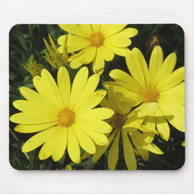 Mousepad - Yellow daisies (Front)