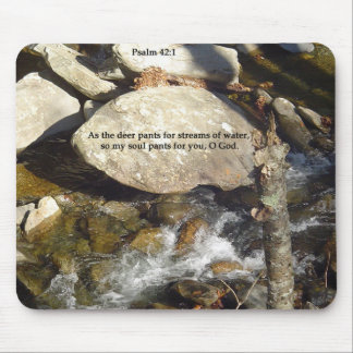 Mousepads: Streams Psalm Mouse Pad