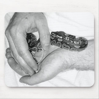 Mouser pad! Baby Nova morph BP in hands Mouse Pad