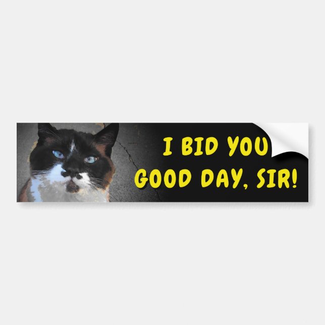 Moustache Cat Bids You Good Day, Sir Meme Bumper Sticker (Front)