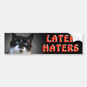 Moustache Cat Meme Says Later Haters Bumper Sticker