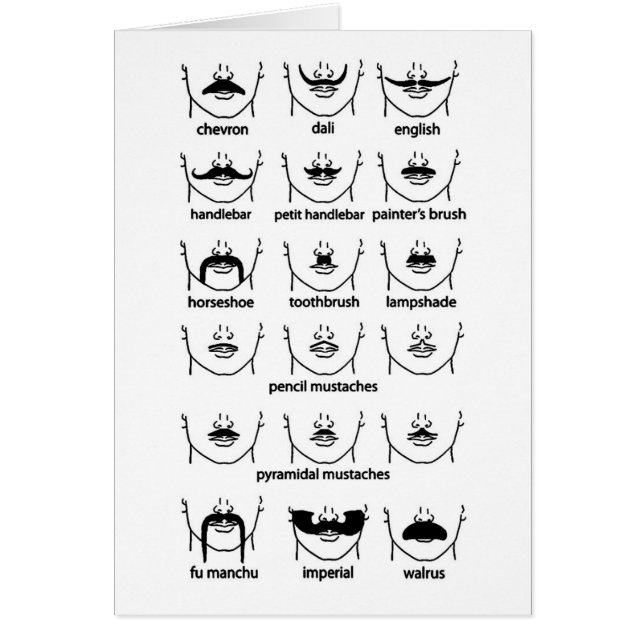 Moustache Chart (Front)