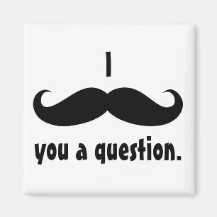 Moustache disguise funny moustache facial hair magnet