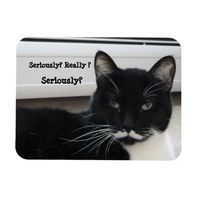 Moustache Tuxedo Cat (Seriously?) Magnet (Horizontal)