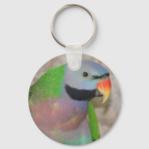 Moustached Parakeet Key Ring