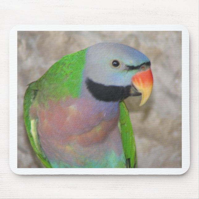 Moustached Parakeet Mouse Pad (Front)