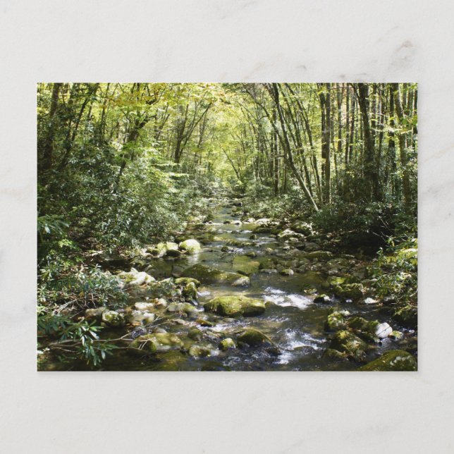 Moutain Creek Postcard (Front)