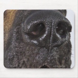 Mouth of Great Dane, close-up Mouse Pad
