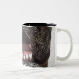 Mouth of Great Dane, close-up Two-Tone Coffee Mug