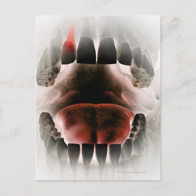 Mouth Postcard (Front)
